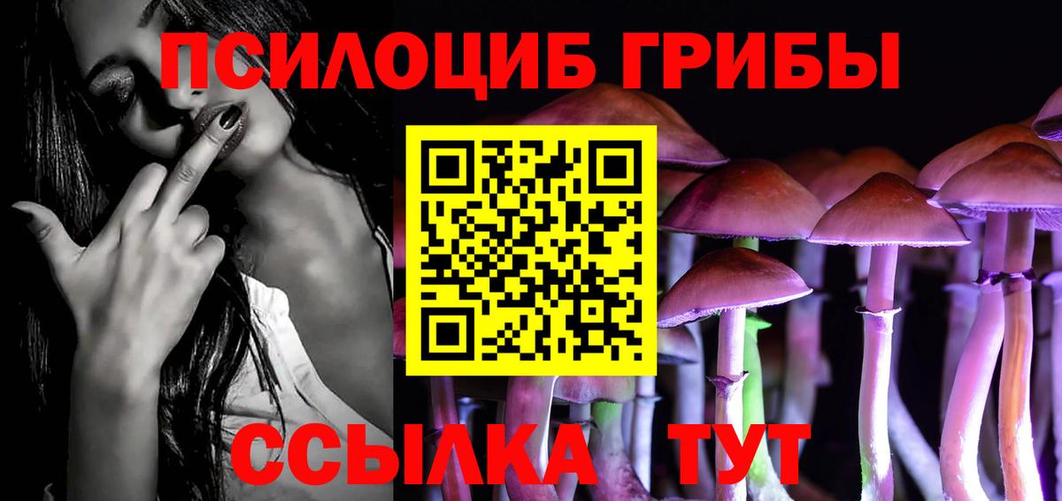 Галлюциногенные грибы MAGIC MUSHROOMS  Вход с VPN  Галлюциногенные грибы MAGIC MUSHROOMS  Дмитров 
